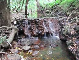 FIELD INVESTIGATION REPORT