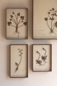 Framed Pressed Botanicals Pressed Flower Art Botanical Prints Botanical Art