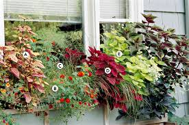 Flowers for a hot and sunny window box. 16 Easy Shade Window Box Ideas Better Homes Gardens