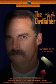 Avian Studios Latest DVD: A Review