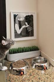Stylish Cat Food Station By Valerie Mccaskill Dickman Cat Food Station Cat Food Bowl Cat Grass