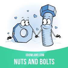 Nuts And Bolts Means The Basic Practical Details Of A Job Or Other Activity Example I Want You To Lea English Idioms Idioms Advanced English Vocabulary