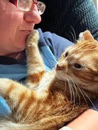 Gooby is a good boy…. He's just a baby! Sometimes we are more scared of  what they could do than what they are doing! This maybe looks a little more  aggressive of