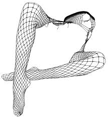 Study Of Fishnet Stockings On Behance Fishnettightsicon.png ‎(30 × 30 pixels, file size: