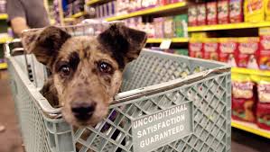 They can get bird dog products if they request them. Why Must We Take Our Dogs To The Grocery Store