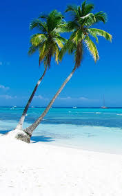 Ces Fonds D Ecran De Plage Creent Le Decor De La Maison De Plage Tropicale Parfaite Dans Un Espace D Beautiful Beach Vacations Beach Wallpaper Tropical Beaches