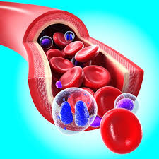 Certain disorders, however, cause a significant variation in cell size. Red Cell Distribution Width Linked With Mortality In Dialysis Renal And Urology News