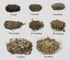 Identification Guide Owl Pellets