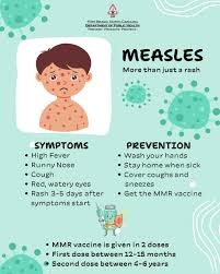 Image result for measles