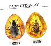 Opaeroo Échantillon Scarabée En Résine - Specimen Insecte Déco  Bureau/Classe (2 Pièces)