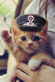 images?q=tbn:ANd9GcT-cMpjR-L3l9cpLzoEAhE