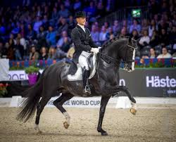 The name gal also means wave in hebrew, used both as a given name and a surname. Grand Prix Debuut Edward Gal En Total Us Staat Gepland Horses Nl