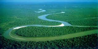 Top 10 Longest Rivers Of The World Msrblog