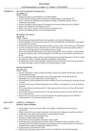 With a traditional resume template format, you can leave the layout and design to microsoft and focus on putting your best foot forward. Business Head Resume Samples Velvet Jobs