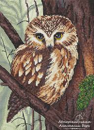 Bird Cross Stitch Patterns Free To Download Pin By Krystina Jarema On Cross Stitch Patterns Cross Stitch Owl Cross Stitch Animals Cross Stitch