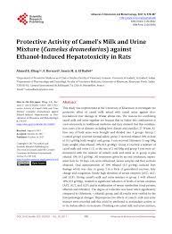 Many men with prostate cancer die from other causes without ever knowing that they had. Pdf Protective Activity Of Camel S Milk And Urine Mixture Camelus Dromedaries Against Ethanol Induced Hepatotoxicity In Rats