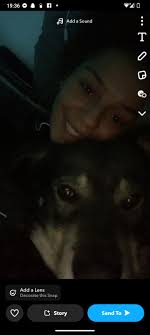 Lost pet owner makes contact with AWS in Helderberg