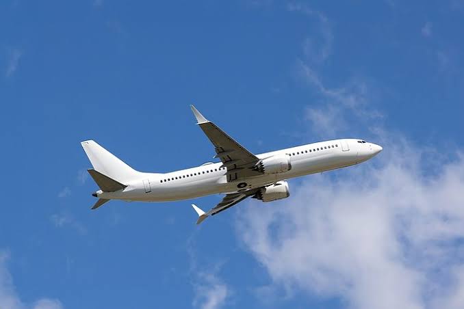 Here's the Reason Most Airplanes Are White