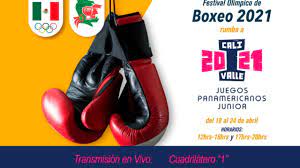 Conoce a los mejores deportistas de los jjoo de río con marca.com Festival Olimpico De Boxeo 2021 Cuadrilatero 1 Youtube