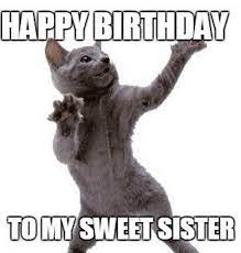 91 Happy Birthday Sister Memes For Your Sibling That Is Also A Friend Happy Birthday Sister Funny Happy Birthday Funny Happy Birthday Sister