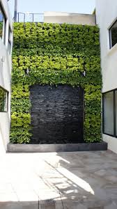 Jardin Vertical Vallejo Cara De Planta Vertical Garden Vertical Garden Design Vertical Garden Diy