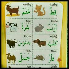 Jual Hot Sale Kamus Bahasa Arab Untuk Anak Di Lapak Tugu Muda Store Bukalapak