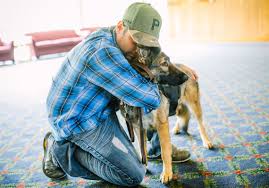 It is important to do your research when choosing. Pet Tales Emotional Support Animals Cause Problems For Service Dogs Pittsburgh Post Gazette