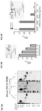 Single channel metal mass detector 24v power supply nice lp21. Compositions And Methods For Adjoining Type I And Type Ii Extracellular Domains As Heterologous Chimeric Proteins Schreiber Taylor Et Al Heat Biologics Inc