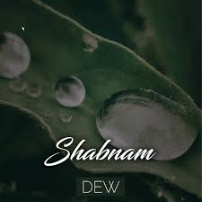 Shabnam Dew Urdu Words Urdu Words With Meaning Hindi Words