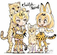 Pin By Hayley Fox On Anime Anime Neko Anime Funny Kemono Friends
