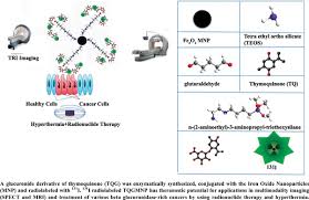If you wanna be rich dj romeo. Thymoquinone Glucuronide Conjugated Magnetic Nanoparticle For Bimodal Imaging And Treatment Of Cancer As A Novel Theranostic Platform Bentham Science