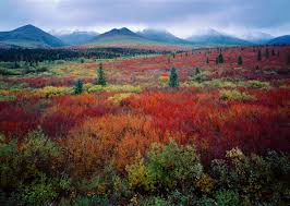59 national parks jigsaw puzzle. Photographing All 59 National Parks 5 Top Tips From Qt Luong The Big Outside