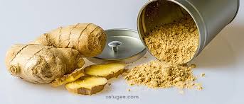 Zenzero in polvere, indicato per frutta cotta, piatti in agrodolce, tisane oppure da bere in acqua calda contro la nausea e disturbi intestinali. Infuso Allo Zenzero Benefici E Preparazione Blog Salugea
