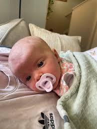 Looking for hourly rates for pet sitting. The humans will be going to a  party for few hours and I would like to know the going hourly rates.  Cheers.