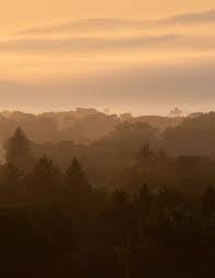 Allegany County Area Foundation