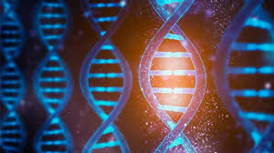 نتیجه جستجوی لغت [negates] در گوگل