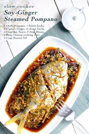 Slow Cooker Soy Ginger Steamed Pompano Food For Net Recipe Steamed Fish Recipes Fish Recipes Healthy Pompano Recipe