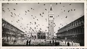 Digital Download, Venice Italy, San Marco Square, Pigeons, Vintage Photo,  Black & White Photo, Printable Print, Found Photo, Snapshot√