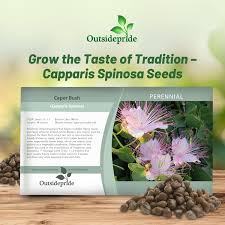 Image result for Capparis