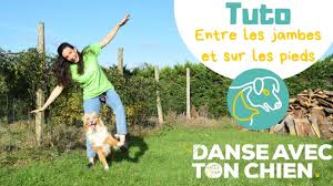 Dans la tête de cécile, tout alait mieux. Tuto Apprendre Le Spin A Son Chien En 3 Etapes Exercice Facile Dog Dancing Youtube