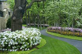 This time honored variety is the standard for white satsuki azaleas. Finished Projects Traditional Landscape Dallas By Britton Associates Houzz