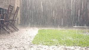 Not to be confused with: 6 Tips For Moving In The Rain Easy Peasy Removals