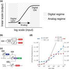 You can check the input and output in plc by using the force command. Conceptual Models And Characterization Of Digital Versus Analog Download Scientific Diagram