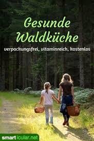 Gesunde Waldkuche Essen Das Du Beim Waldspaziergang Sammeln Kannst Wiesenkrauter Essbare Pflanzen Gesundheit