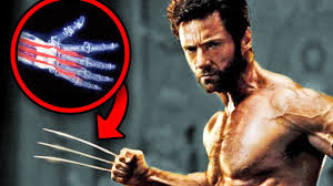 In X-Men, How Exactly Do Wolverine'S Adamantium Claws Retract And Extend? -  Quora