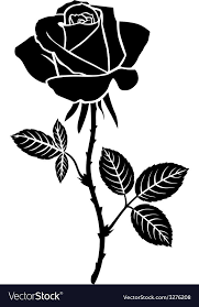 Silhouette Of Beautiful Rose Flower Isolated Outline Download A Free Preview Or High Quality Adobe Illustrat Flower Silhouette Black Rose Tattoos Rose Outline