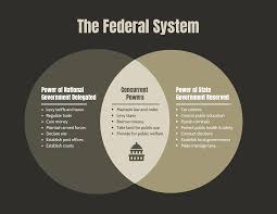 Government Venn Diagram Template