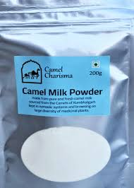 The bedouin has been taking it for centuries a supplier from the netherlands sells camel milk powder online. Camel Milk Powder Kumbhalgarh Camel Dairy