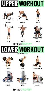 Fitness Workout Dietary Supplements Vitamins Health Workoutplan Wellness Nutrition Diet Workout Splits Lower Workout Gym Workout Tips