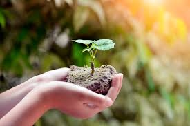 АКТУАЛЬНЫЕ ВОПРОСЫ ОХРАНЫ БИОРАЗНООБРАЗИЯ НА ОСОБО ОХРАНЯЕМЫХ ПРИРО